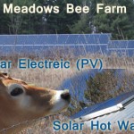 Meadows-Bee-Farm
